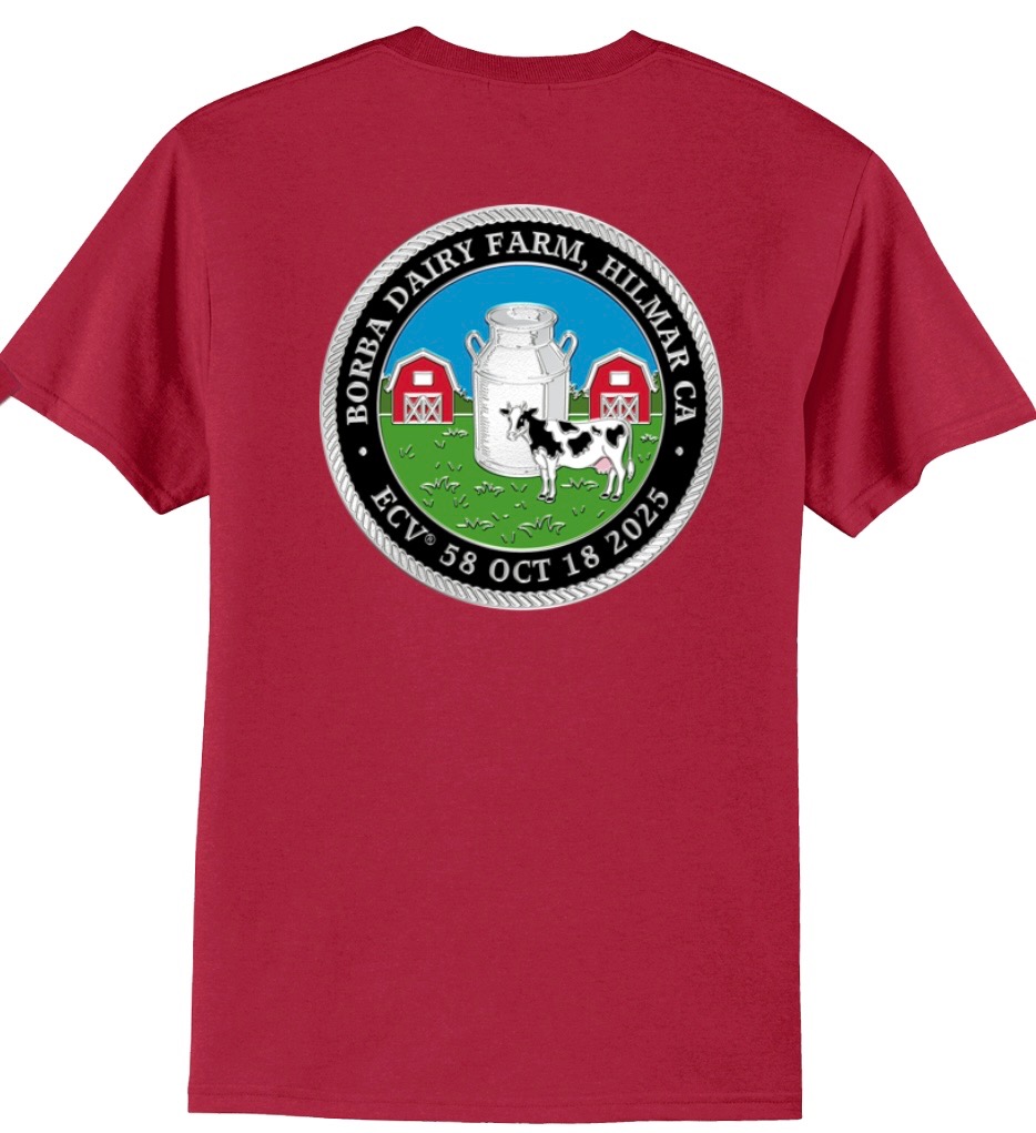 ECV 58 Shirt of the Day